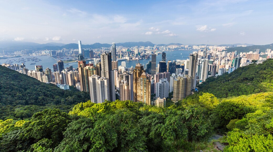 Victoria Peak Lus