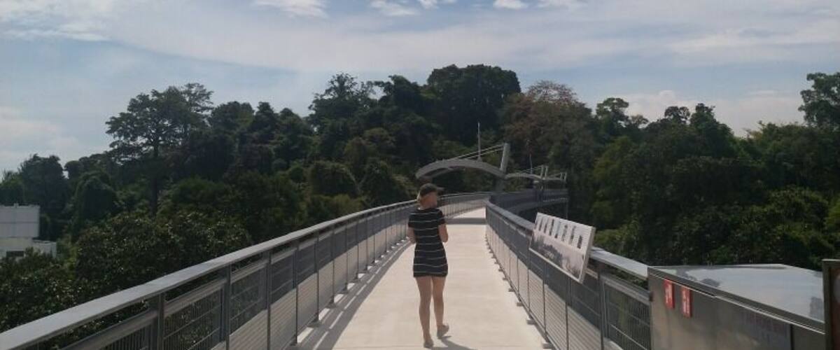 Some amazing views walking through the tree tops. And learn some of the history of Singapore. Plus it's all free.
#LocalSecrets
#Trovember