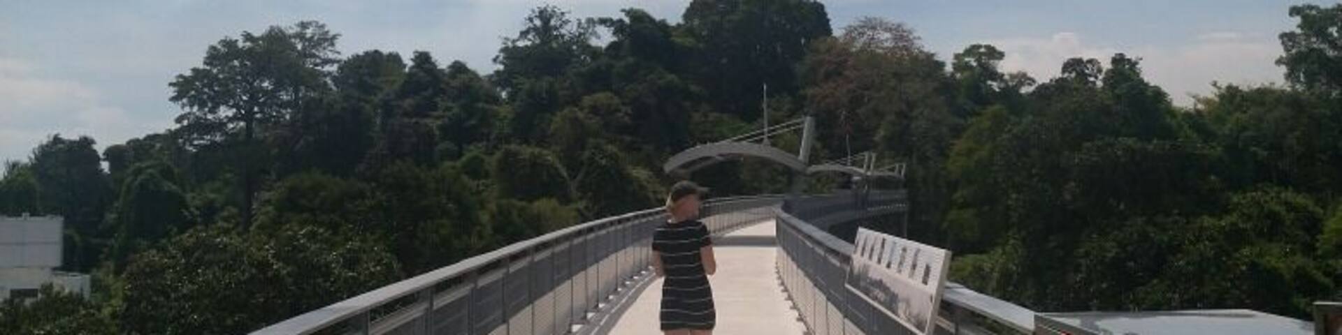 Some amazing views walking through the tree tops. And learn some of the history of Singapore. Plus it's all free.
#LocalSecrets
#Trovember