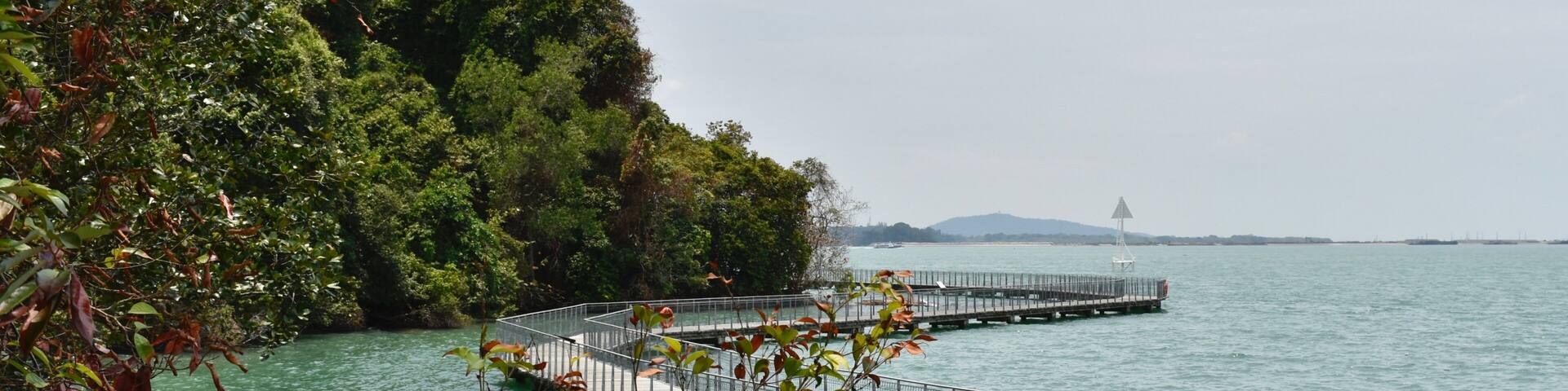 Beautiful boardwalk on Singapore island: Pulau Ubin Chek Jawa Boardwalk