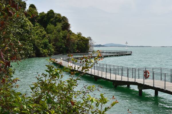 A curved pier extending into a body of water, surrounded by dense greenery and a distant cityscape.