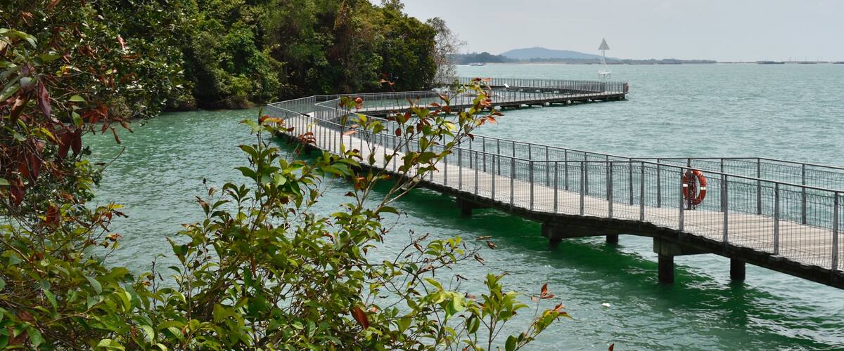 A curved pier extending into a body of water, surrounded by dense greenery and a distant cityscape.