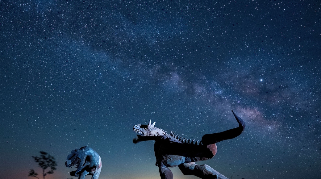 #Culture Galleta Meadows has over 130 incredibly detailed metal sculptures by artist Ricardo Breceda scattered around the beautiful desert town of Borrego Springs, CA for explorers to visit day and night.