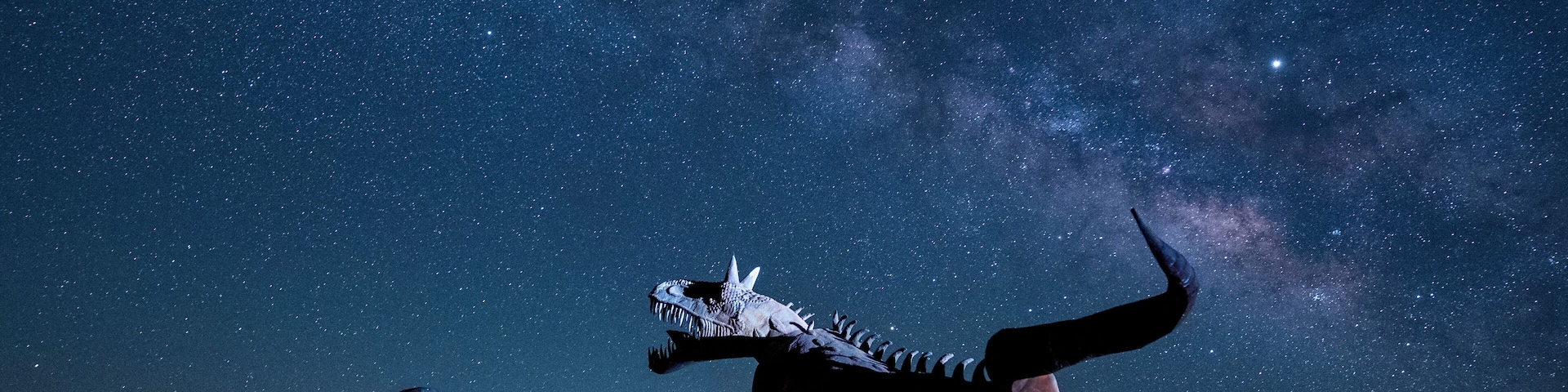 #Culture Galleta Meadows has over 130 incredibly detailed metal sculptures by artist Ricardo Breceda scattered around the beautiful desert town of Borrego Springs, CA for explorers to visit day and night.