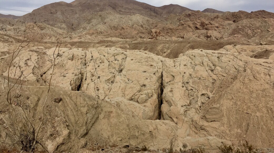 Anza Borrego State Park.