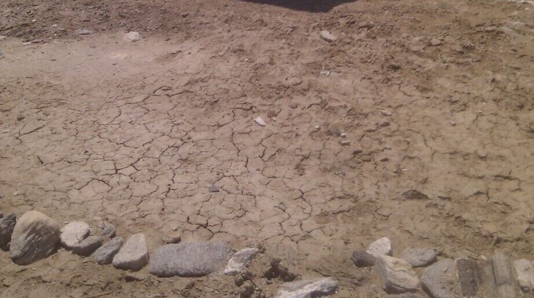 not your average busstop, but surely a nice place to hide from the sun in the shade. Can't go there by car, ask http://www.californiaoverland.com/ for help. Really worth the trip.