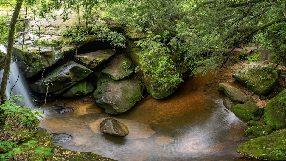 A forested stream with a wooden bridge and moss-covered rocks.