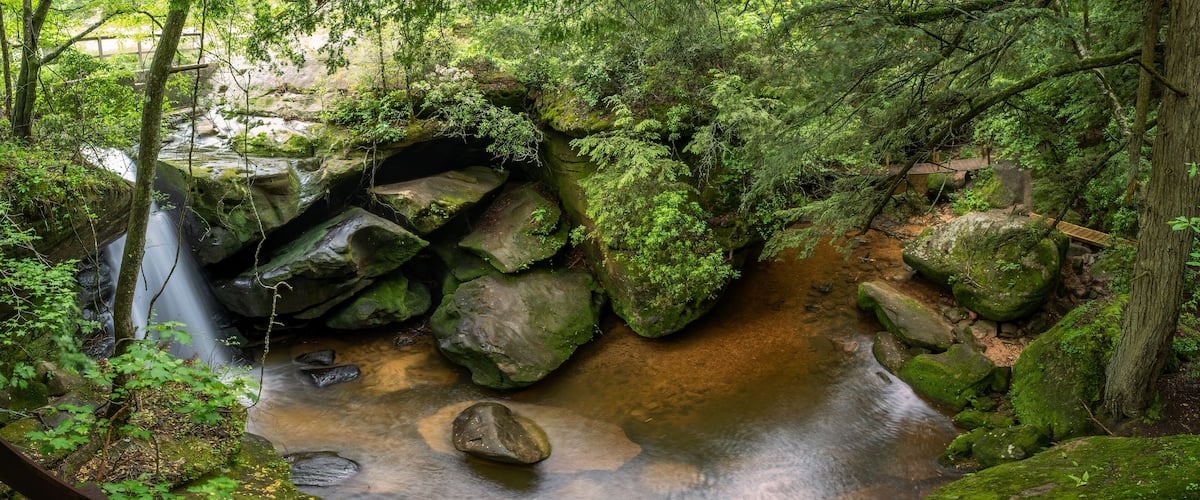 A forested stream with a wooden bridge and moss-covered rocks.