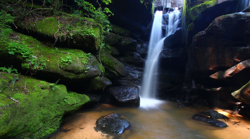Beautiful waterfall in a rocky canyon of northern Alabama