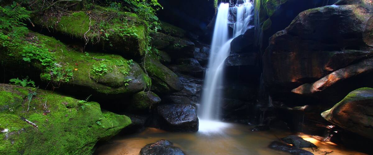Une cascade d’eau se déversant sur des rochers couverts de mousse, dans une zone boisée.