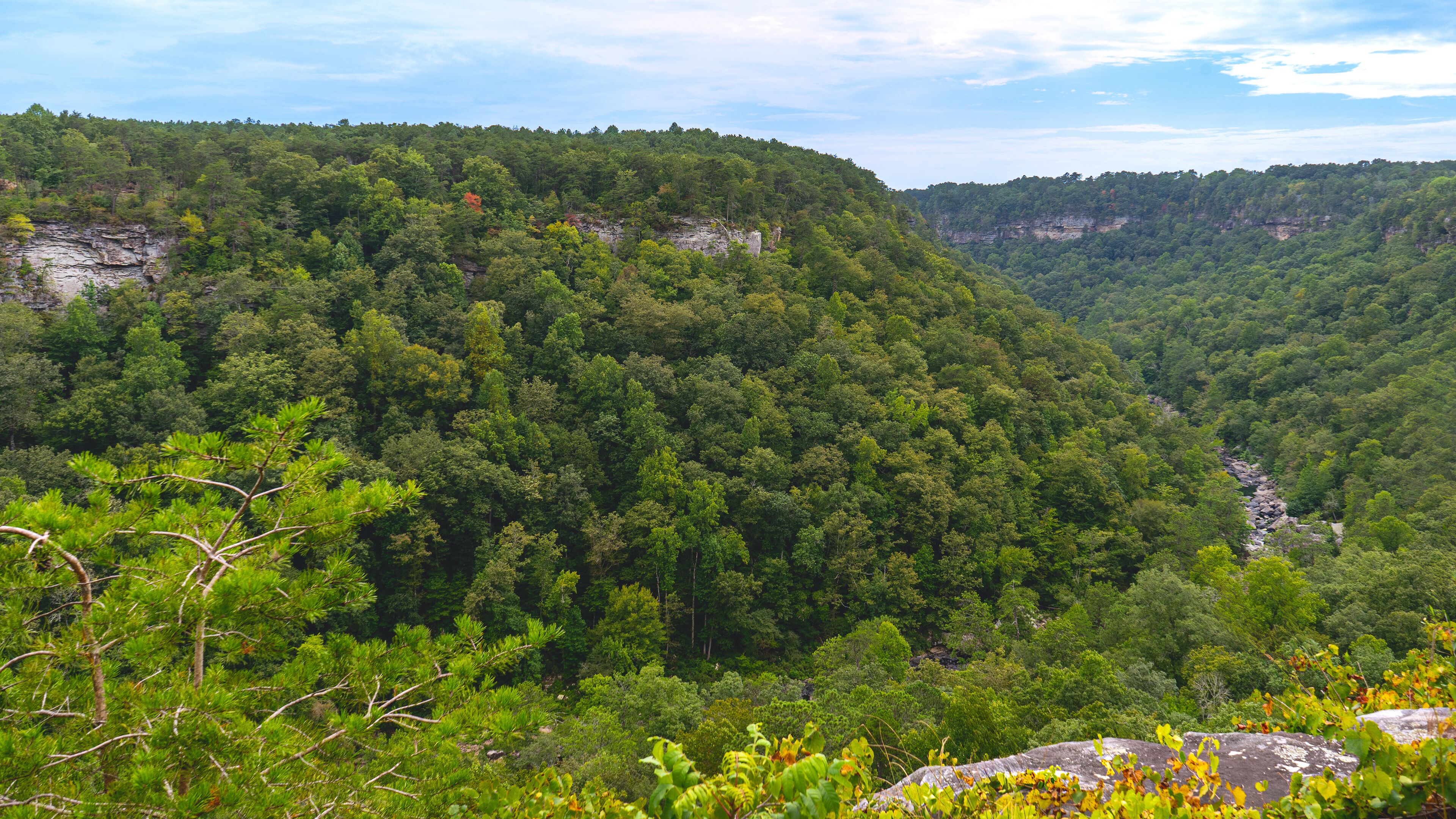 From the Canyon View Overlook on the scenic parkway of the Little River National Canyon Preserve in Alabama, the river winds through the canyon between lush green mountainsides with rocky cliffs.