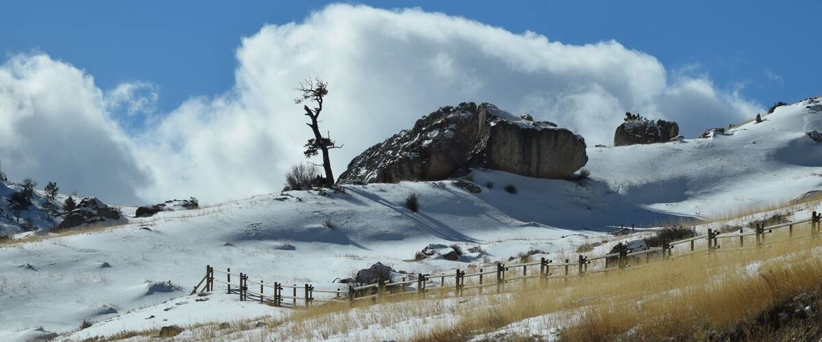 Just up the mountain outside of Dayton Wyoming you will see the best views, in my opinion, in United States! #winter