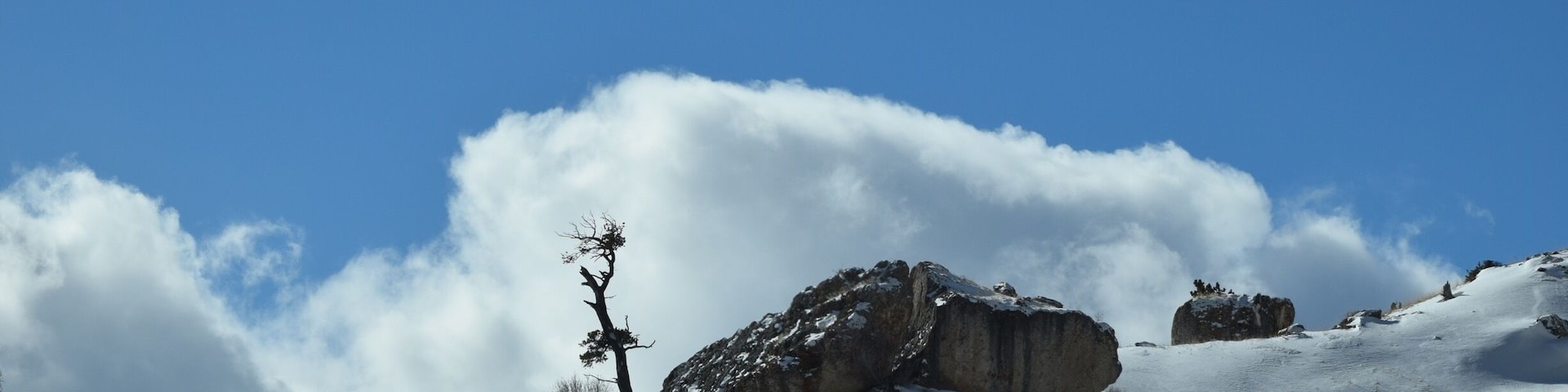 Just up the mountain outside of Dayton Wyoming you will see the best views, in my opinion, in United States! #winter