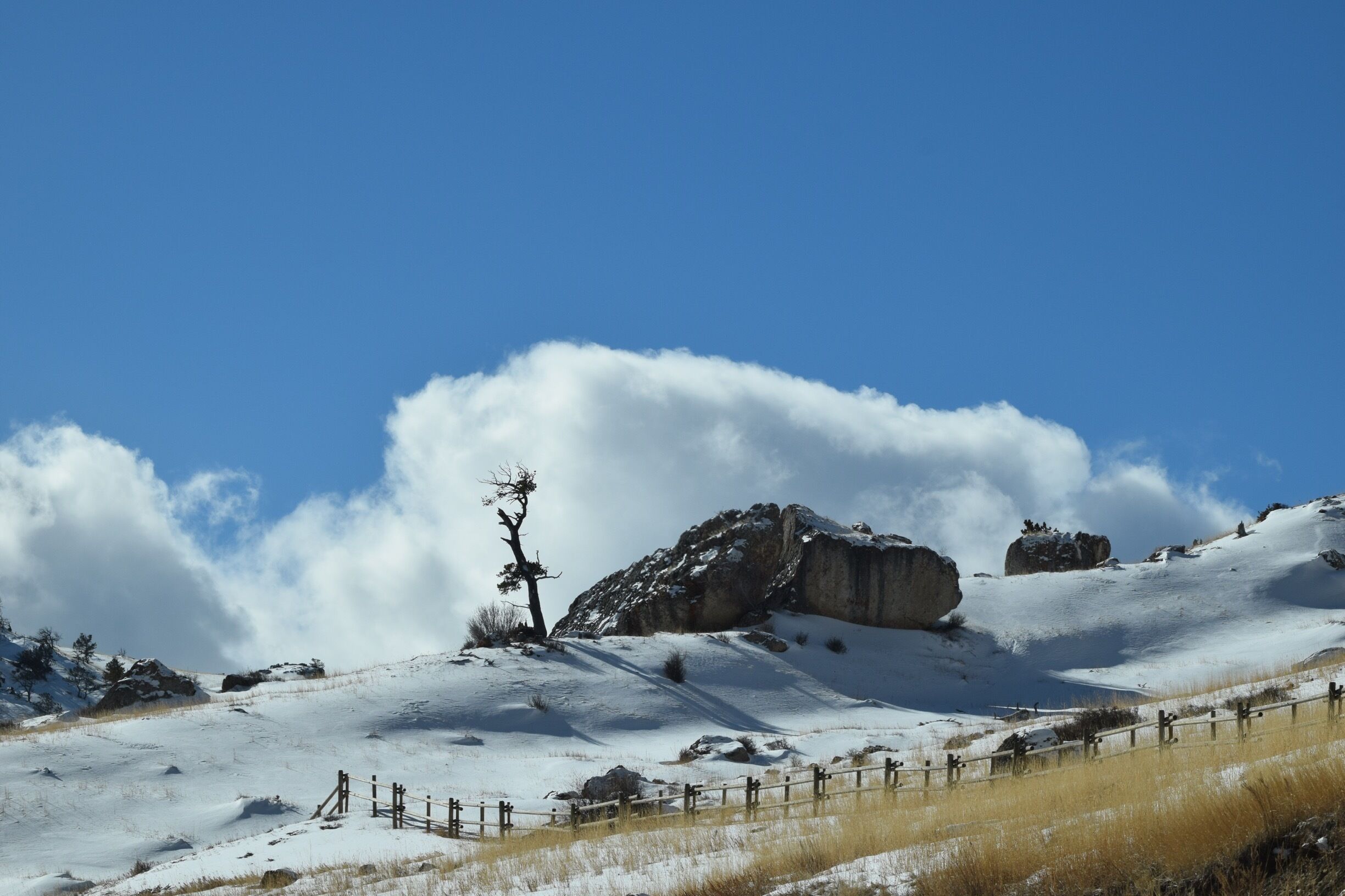 Just up the mountain outside of Dayton Wyoming you will see the best views, in my opinion, in United States! #winter