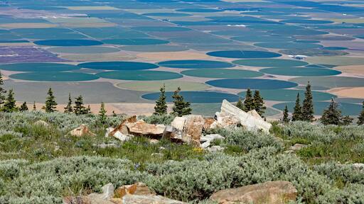 Magic Valley from Albion Range