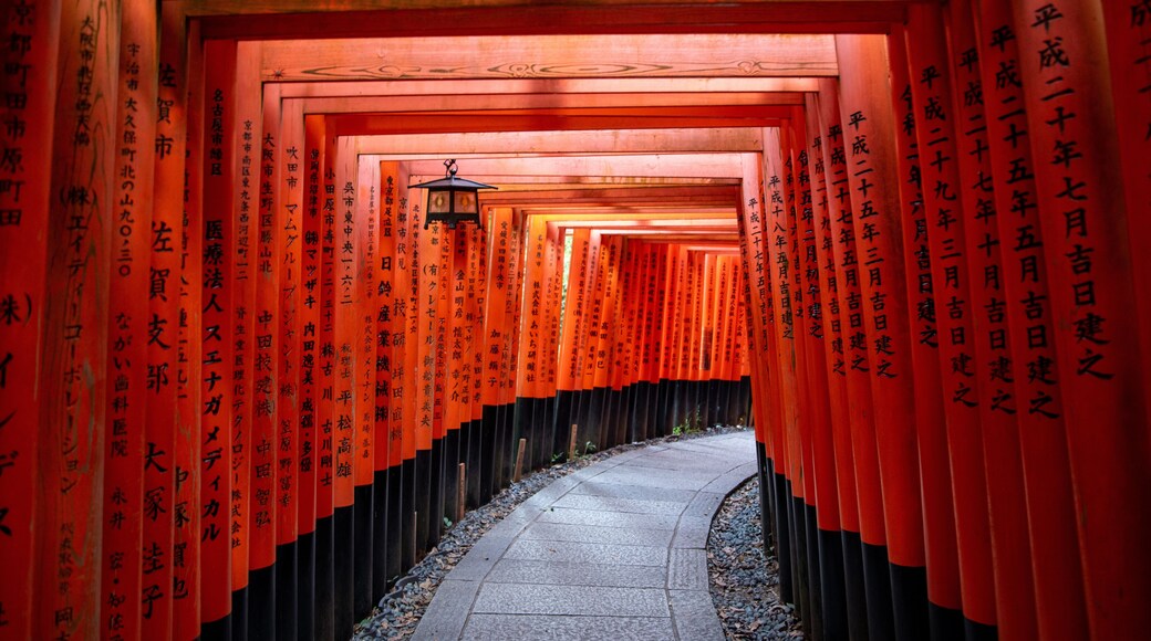 Circuit de PĂšlerinage de Fushimi-Inari-Taisha