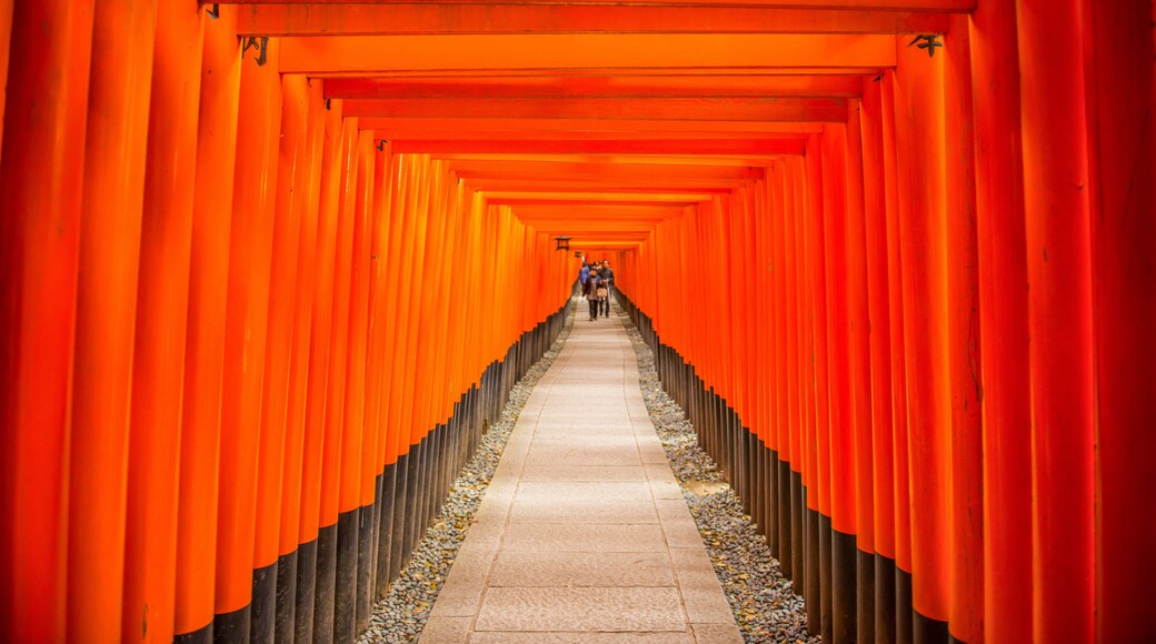 Circuit de PĂšlerinage de Fushimi-Inari-Taisha