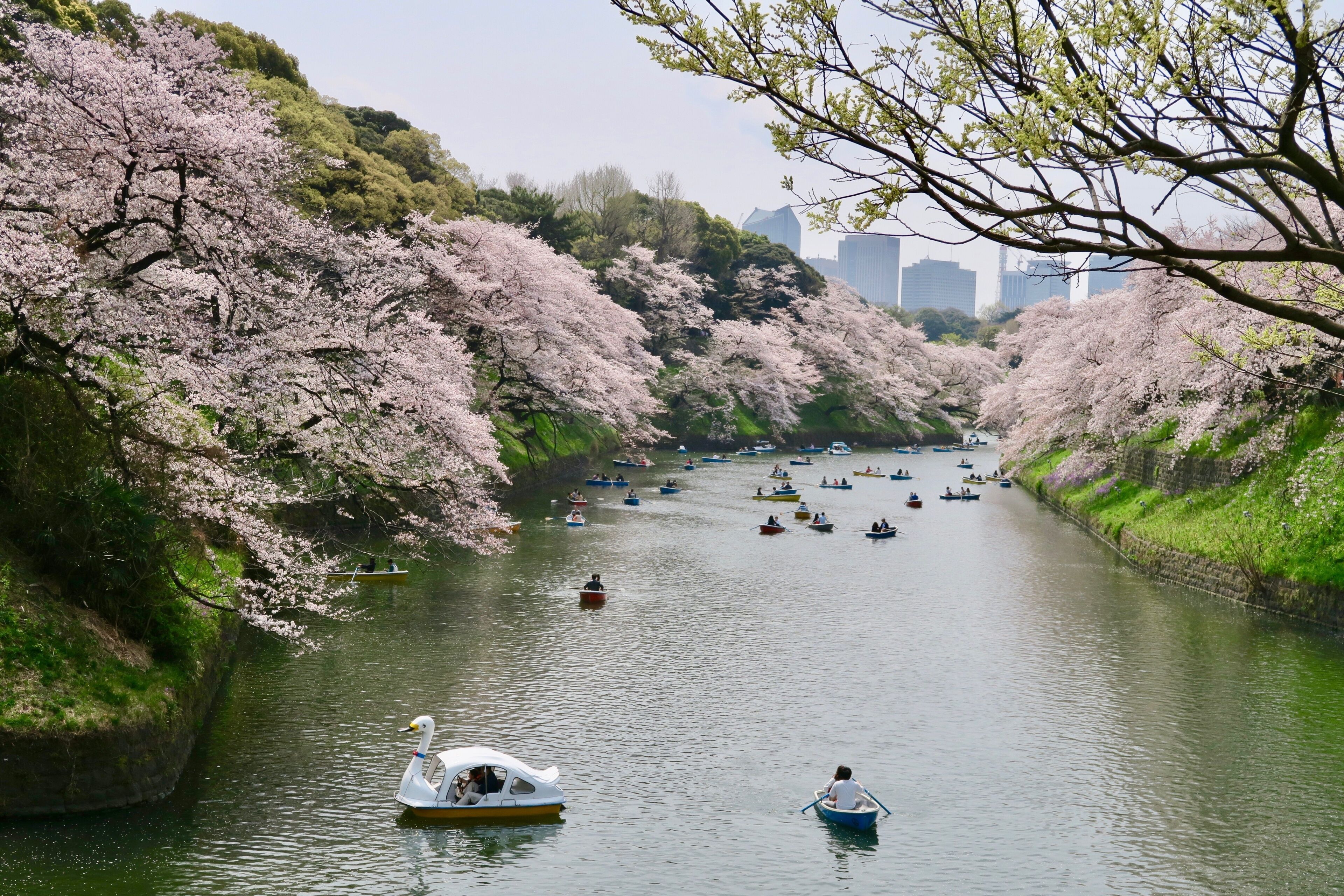Chidorigafuchi Vandresti