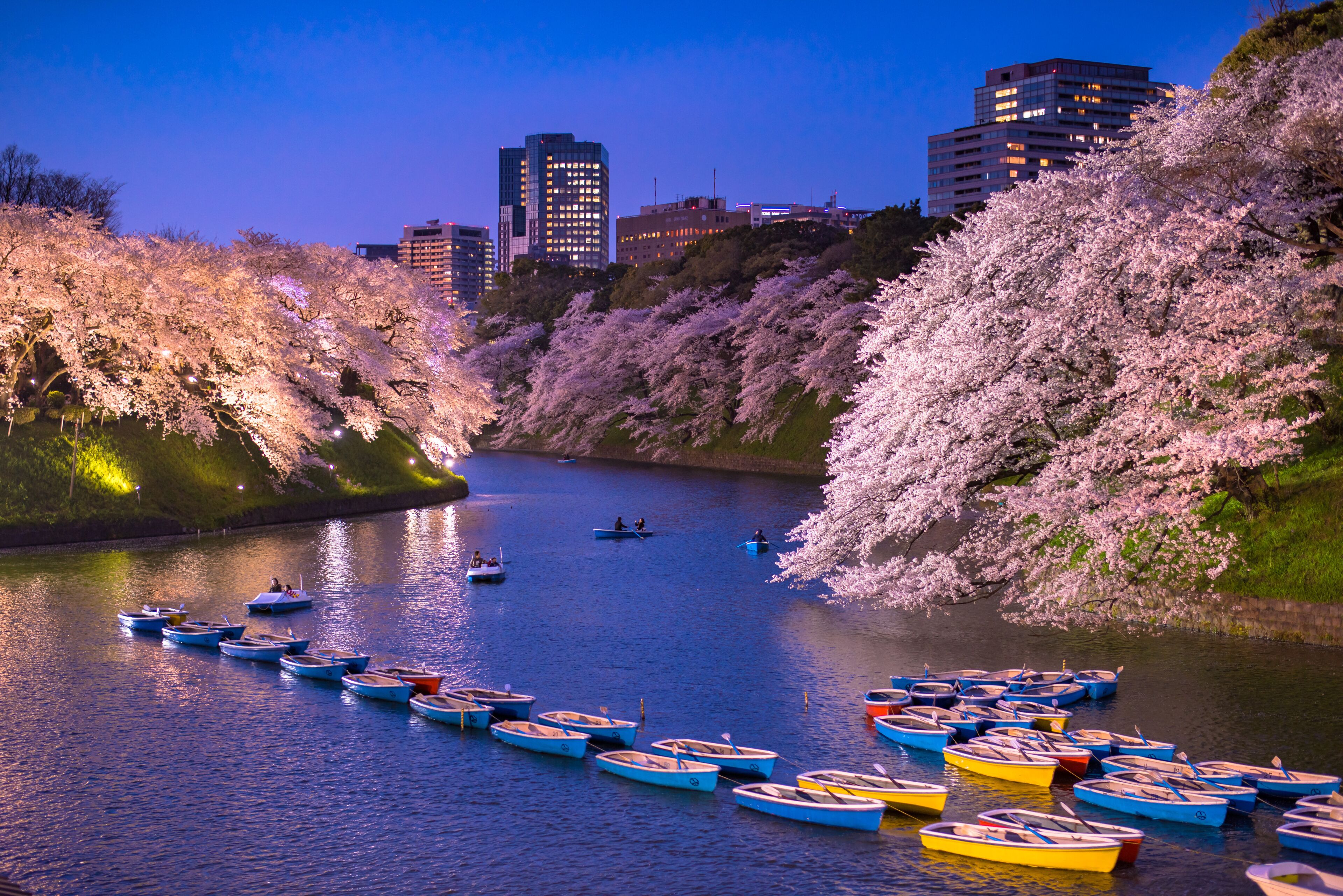 千鳥淵遊步道