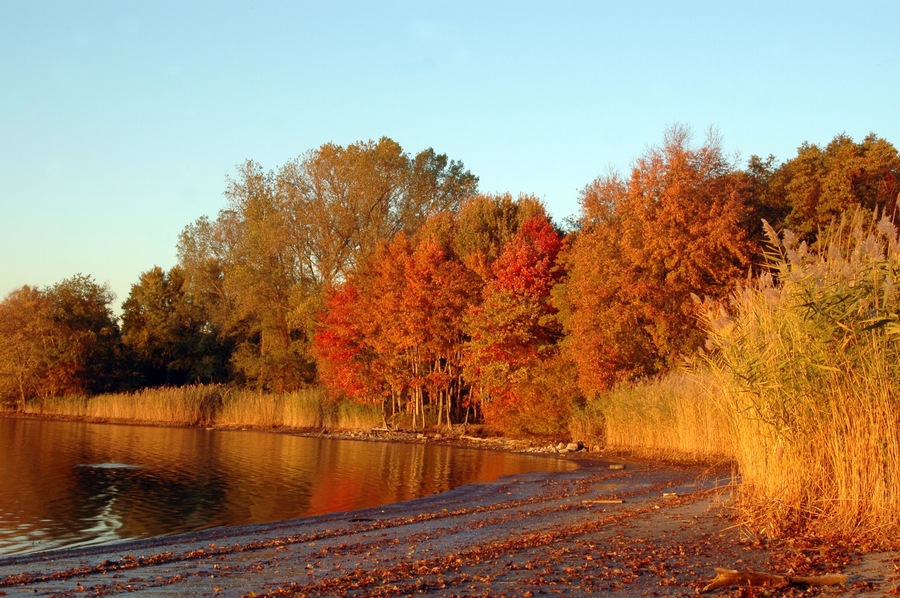 autumn beach 1043