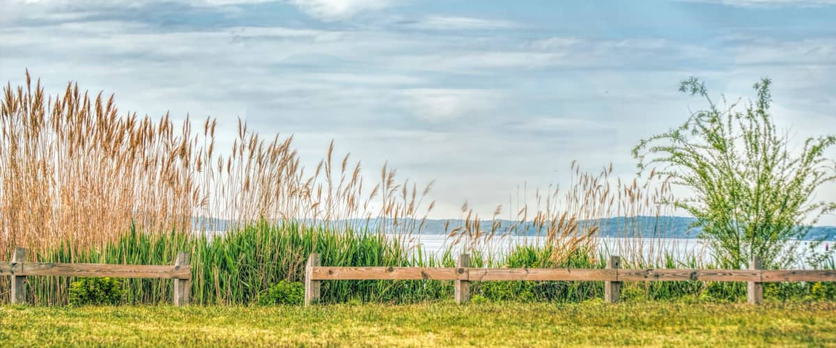 A wooden fence, tall grasses, and a body of water under a cloudy sky.
