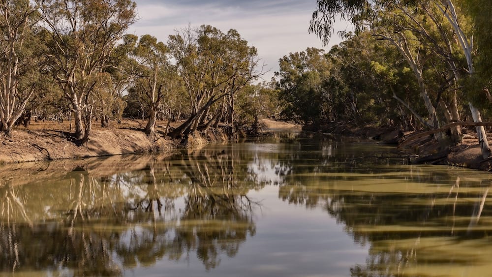 Reflections in the Murrumbidgee River - Yanga National Park, Balranald, NSW
