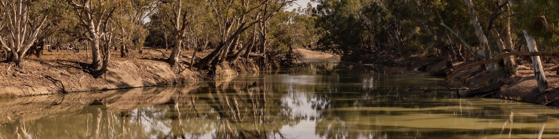 Reflections in the Murrumbidgee River - Yanga National Park, Balranald, NSW