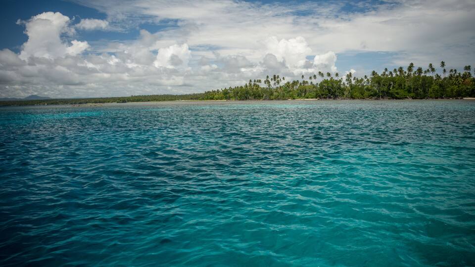 Turquoise ocean waters, a sandy beach, and a line of palm trees under a partly cloudy sky.