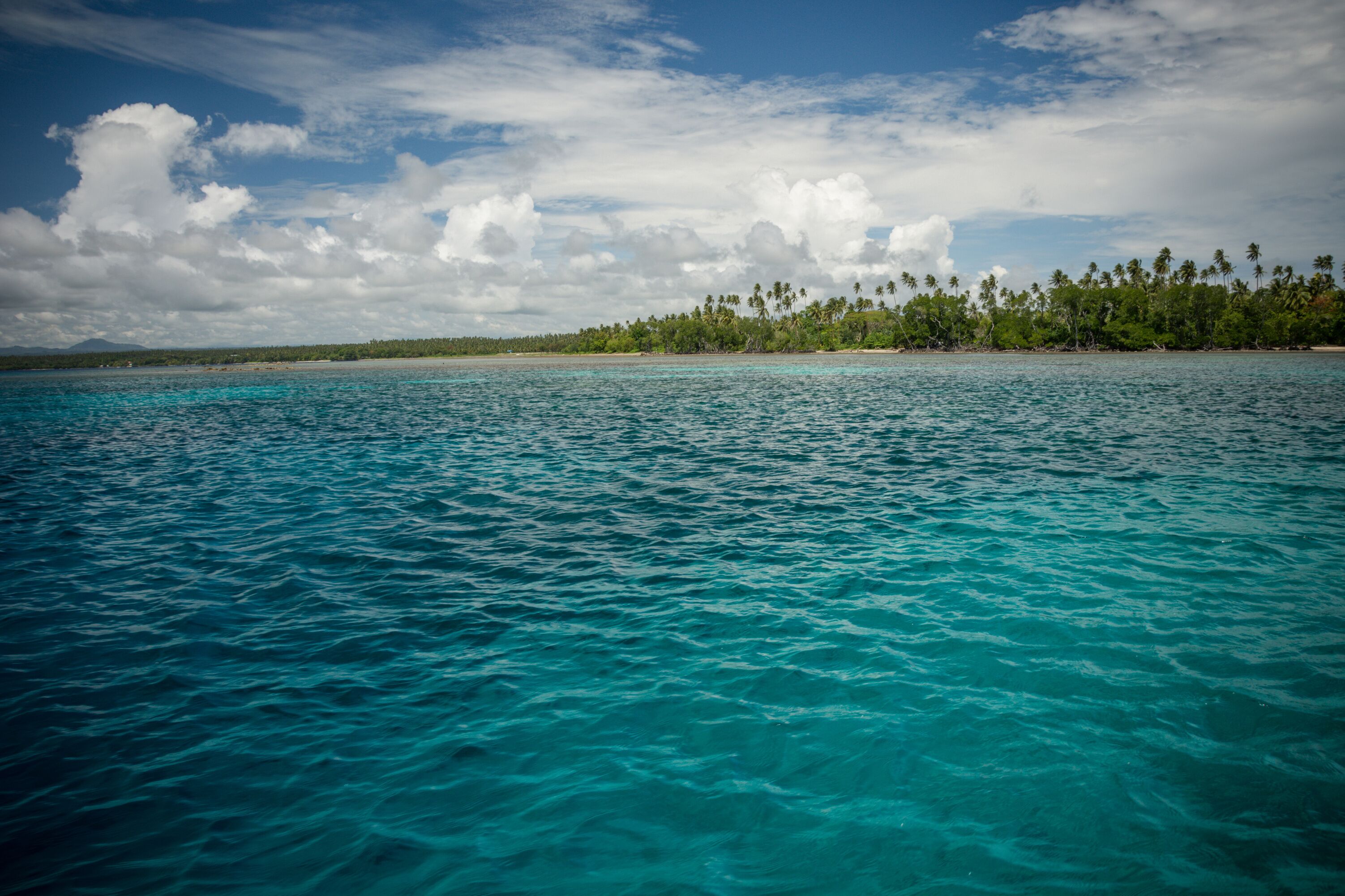 Turquoise ocean waters, a sandy beach, and a line of palm trees under a partly cloudy sky.
