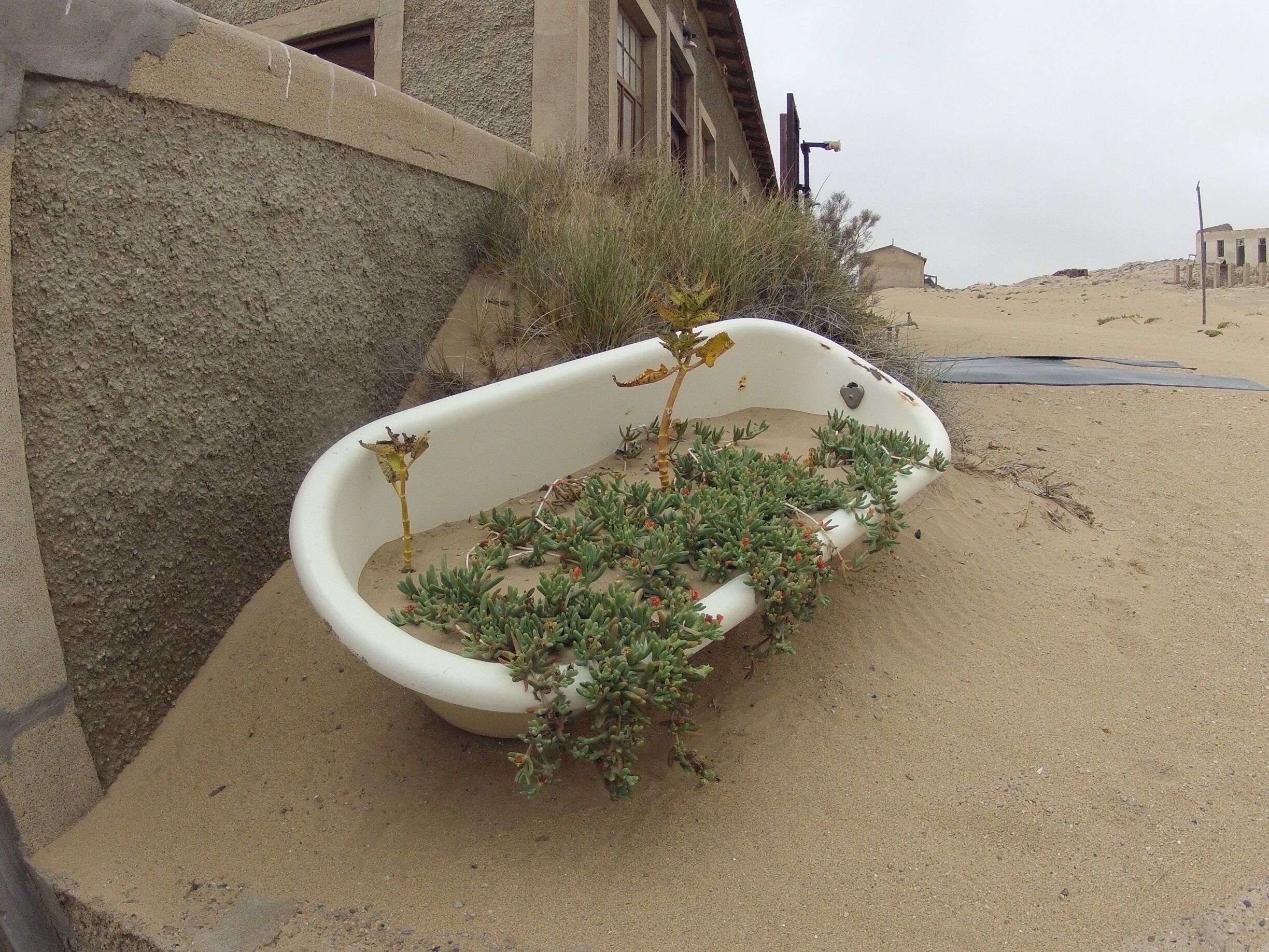 A cold mist dropped the temperature here by about 10 degrees