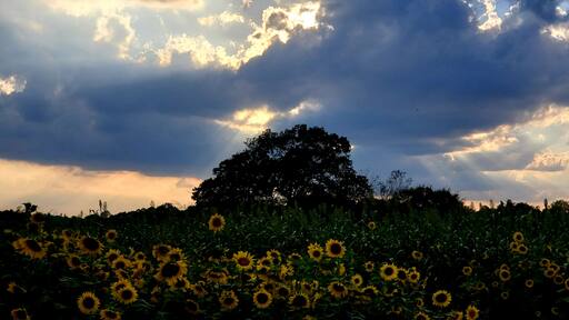 Nestled in the middle of mennonite country hidden treasure reign.