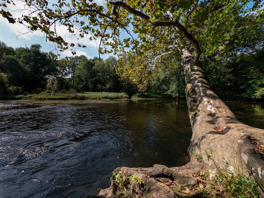 Brandywine River, Chadds Ford, PA