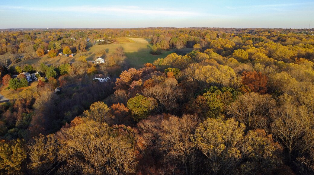 Chadds Ford