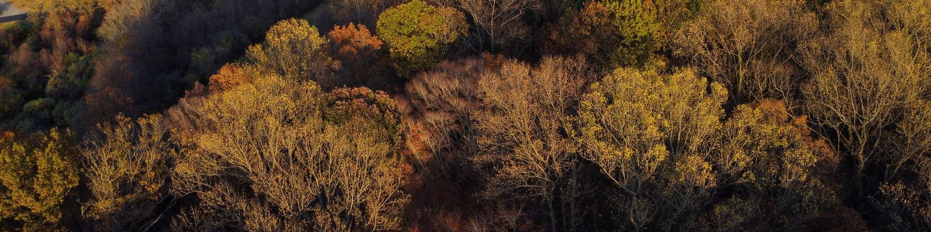 Overlooking the forest in Brandywine Valley in First State National Historical Park from a farm, Chadds Ford, Pennsylvania