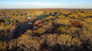 Overlooking the forest in Brandywine Valley in First State National Historical Park from a farm, Chadds Ford, Pennsylvania