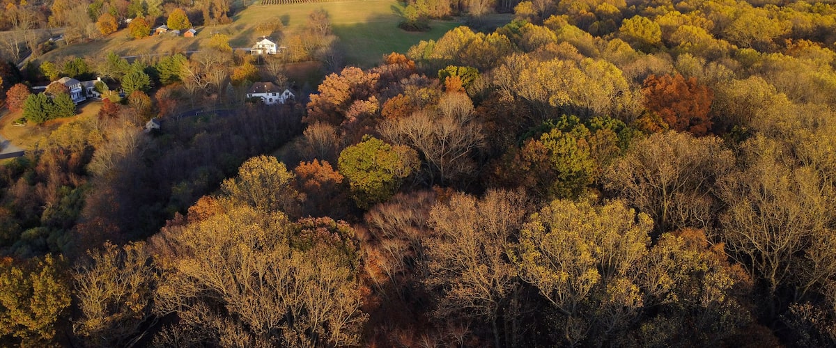 A rural landscape with a large field, several houses, and dense forest.