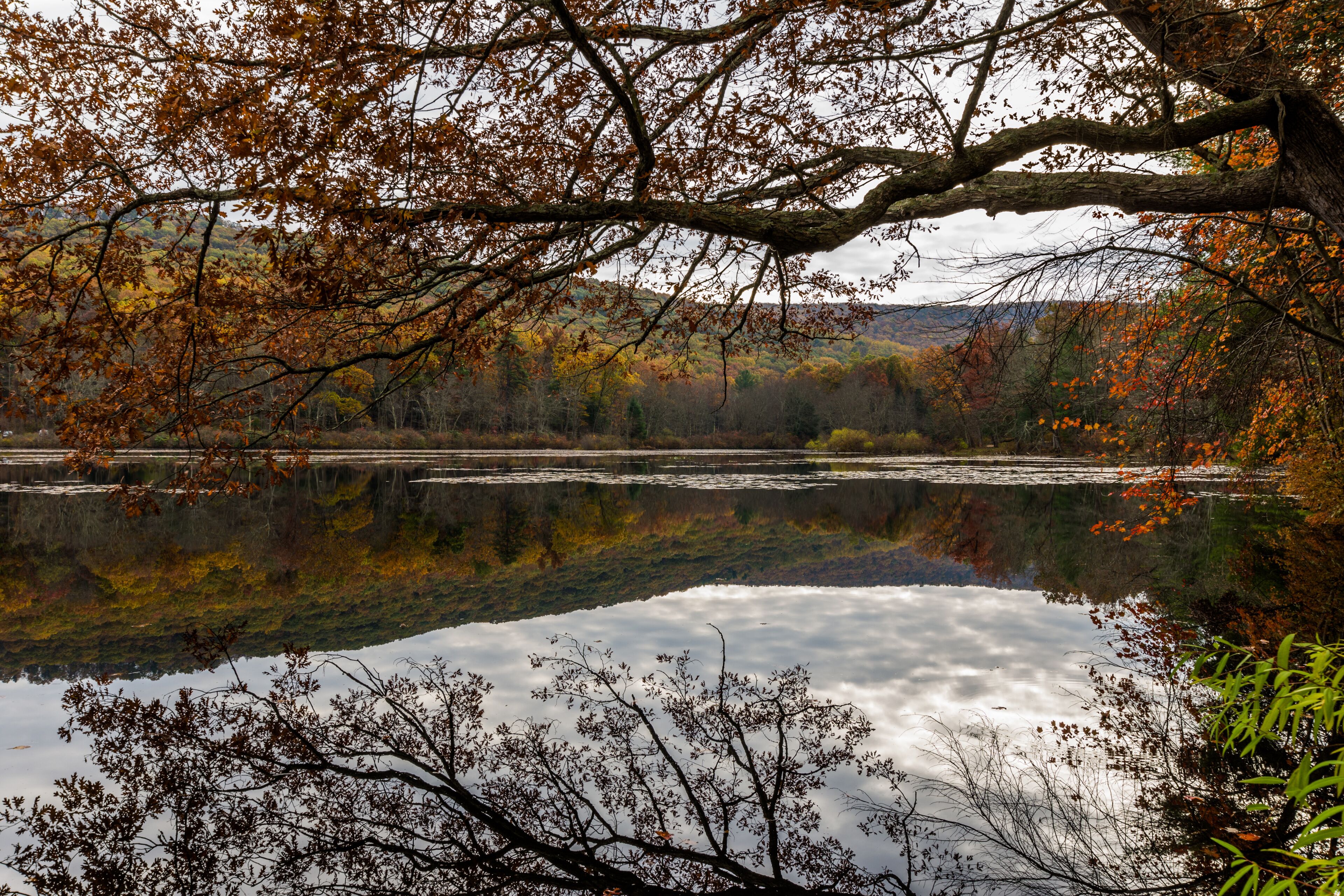 <h2>Los mejores alojamientos para familias</h2>