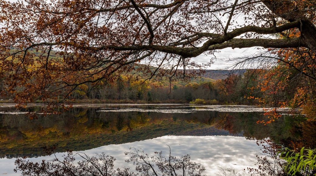 Laurel Lake Recreational Area in Pine Grove Furnace State Park in Pennsylvania during fall