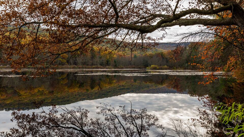 Laurel Lake Recreational Area in Pine Grove Furnace State Park in Pennsylvania during fall