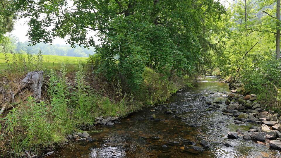 Mountain Creek in Pine Grove Furnace State Park, Pennsylvania