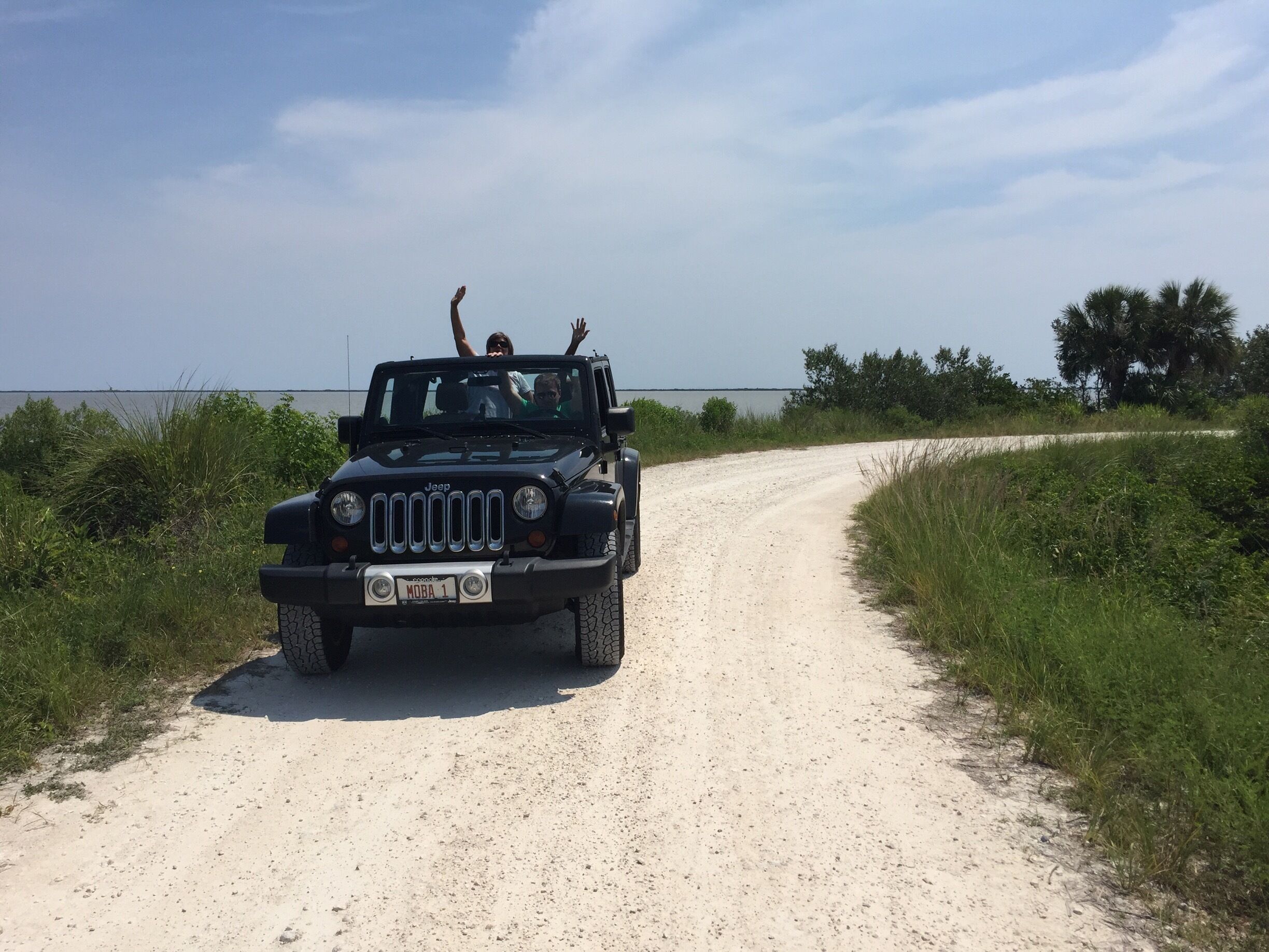 A wonderful place to bird watch and gator watch!
