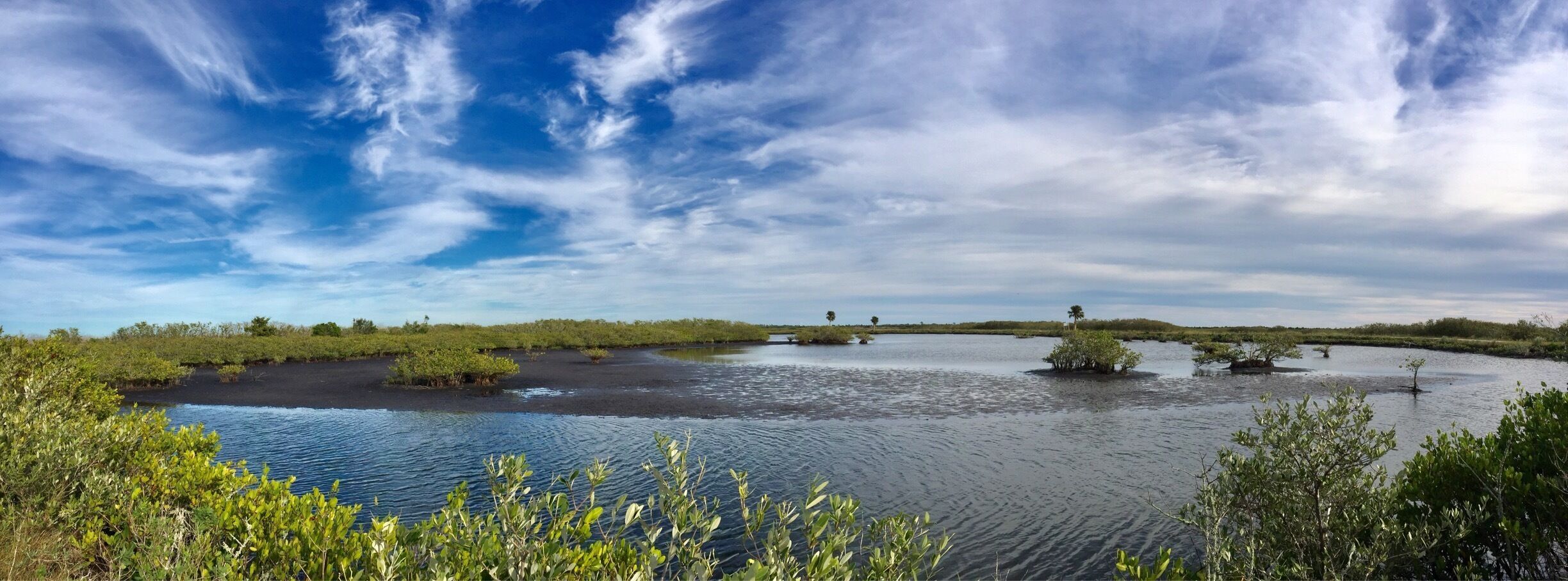 Mud flats in the estuary 