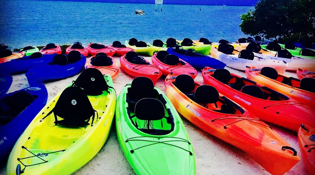 I went on a bioluminescent kayak tour for the first time this past weekend & it was amazing! Bioluminescence is present during the warm summer months. Be sure to check out the moon phase before booking a trip since the bioluminescence is more visible when the light from the moon isn't as bright. This is a picture of all the kayaks lined up on the bank before sunset.
#colorful