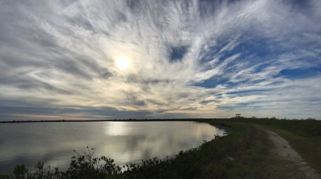 Split Personality
The sky didn't know what it wanted to be this one and only cold Florida winter day!