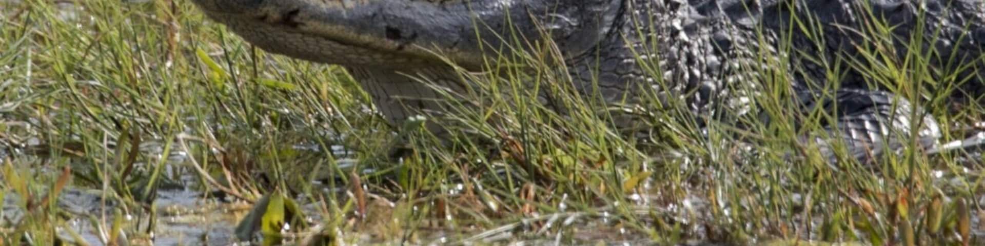 Bio Lab Rd in the Merritt Island National Wildlife Refuge stretches six miles along the lagoon. Lots of wildlife to see!