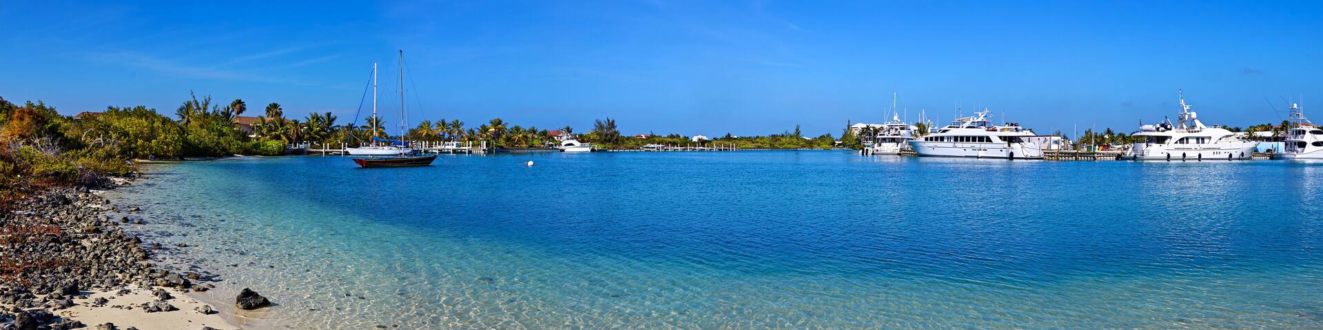 A clear blue sea with boats, a sandy beach, and palm trees.