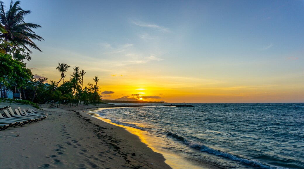 พลายา โดราดา