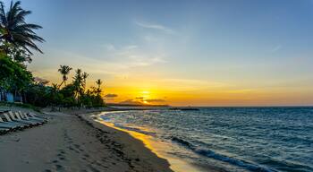 ํ๋ผ์ผ ๋๋ผ๋ค