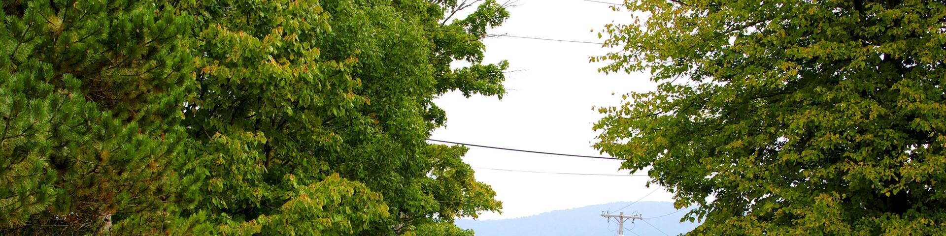 Cooperstown showing a garden