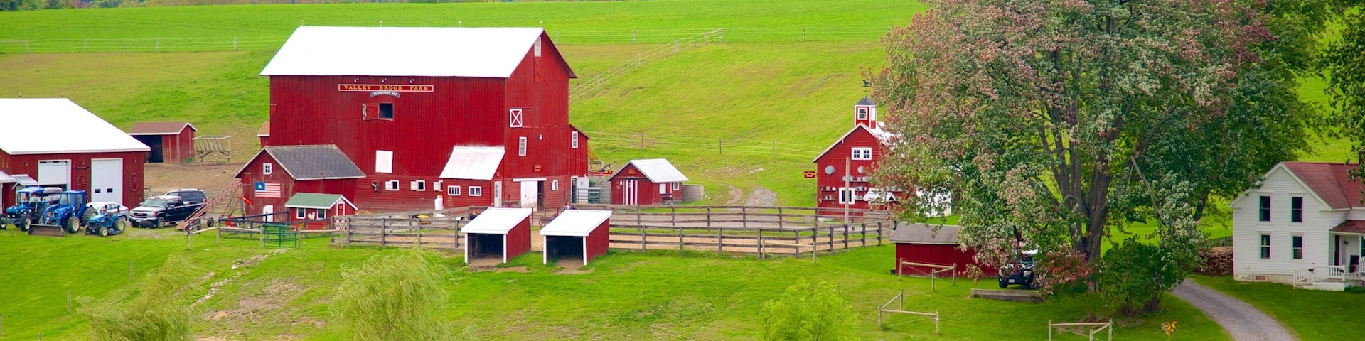 Cooperstown que incluye granja